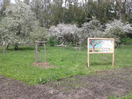 thumbnail - Sentier des abeilles (Tournai)